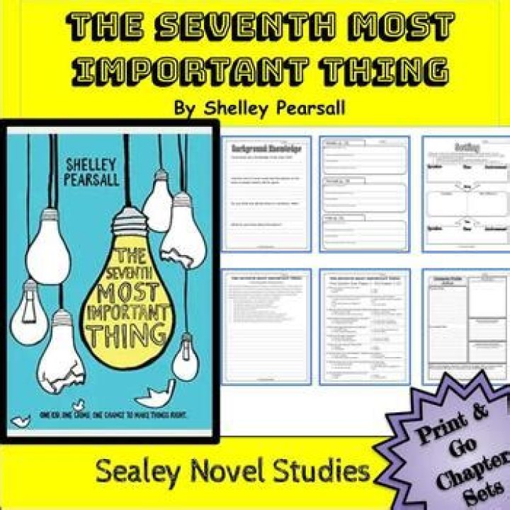 How many pages are in the book the seventh most important thing