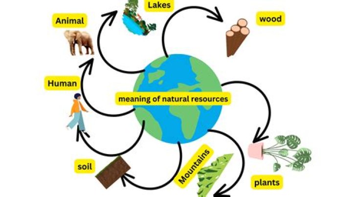 How were natural resources linked to the growth of civilization