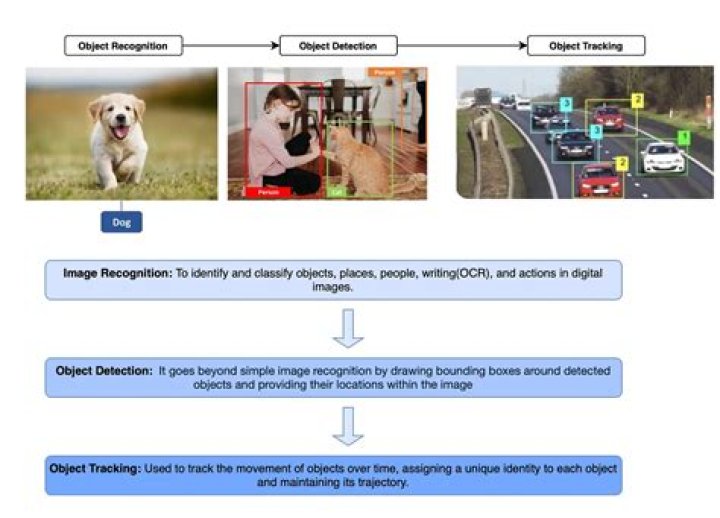 What is difference between object tracking and object detection