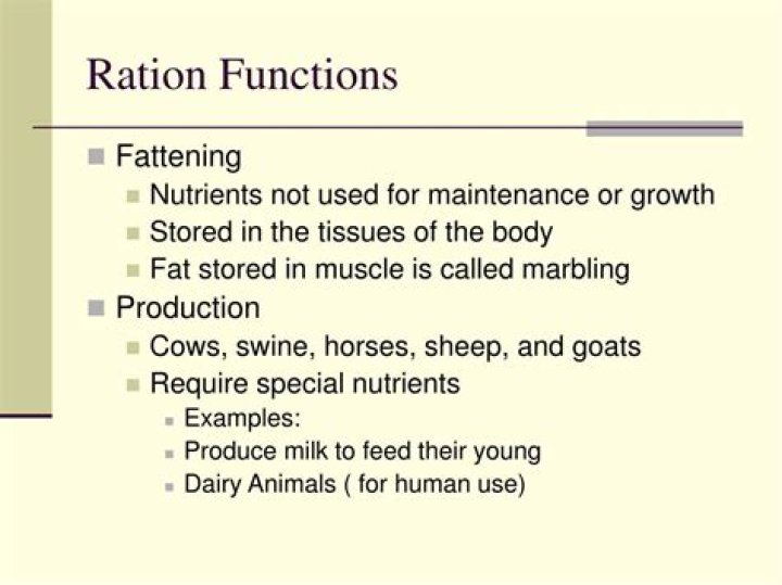 What is maintenance ration in agriculture
