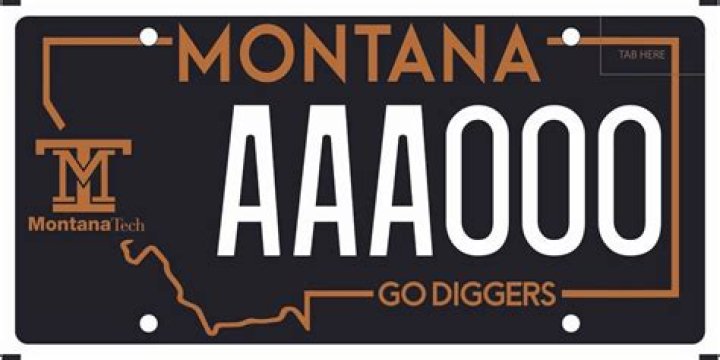 What is the 10 on a Montana license plate