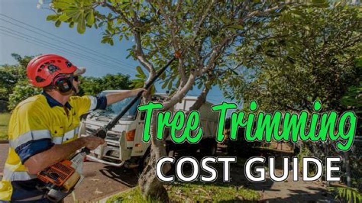 What is the average cost of tree trimming