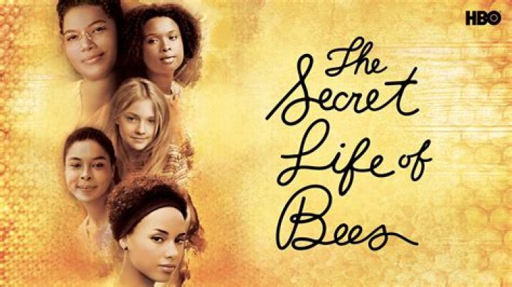 What is the climax of Secret Life of Bees