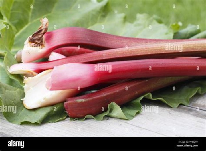 What part of the rhubarb plant is poisonous