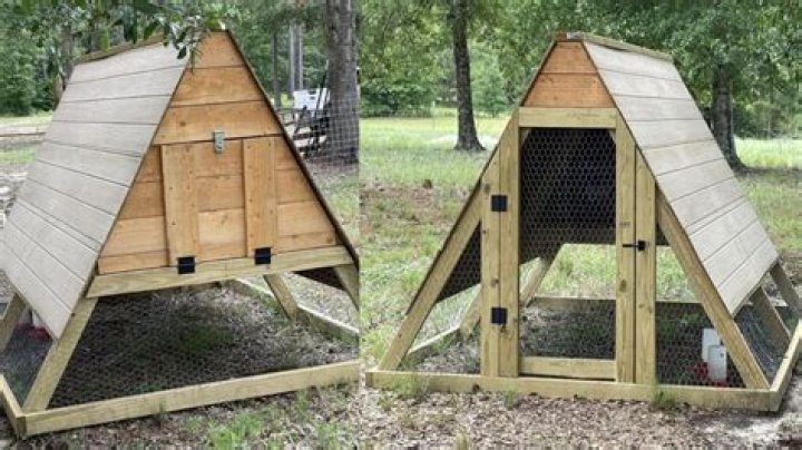 Where do nesting boxes go in a chicken coop